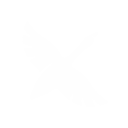 Goose CLI